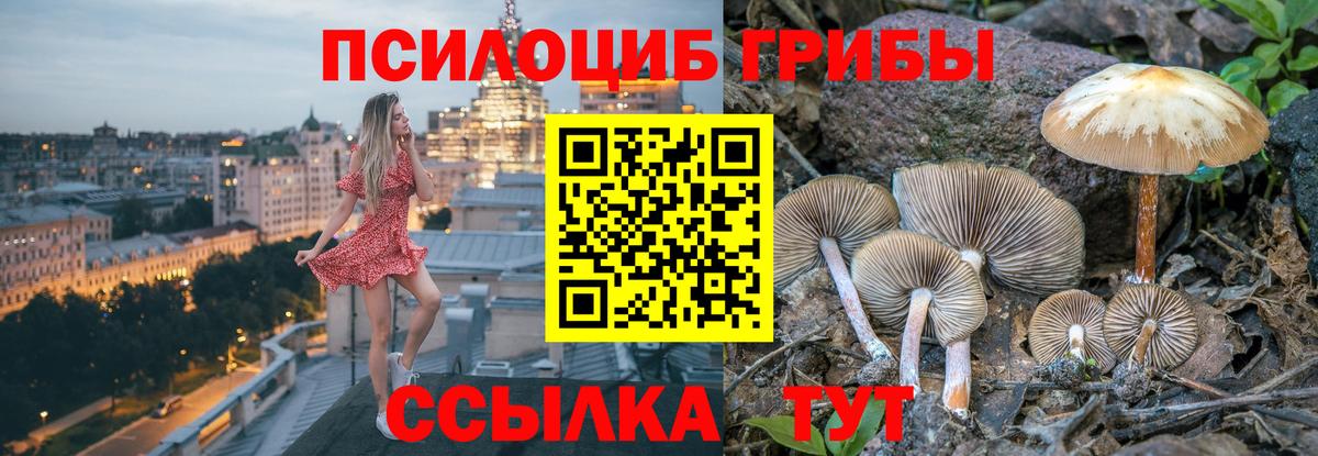 Псилоцибиновые грибы мухоморы  цены   Камень-на-Оби  Вход с VPN 